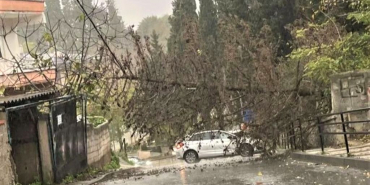 Beykoz’da şiddetli lodos ağaçları devirdi!