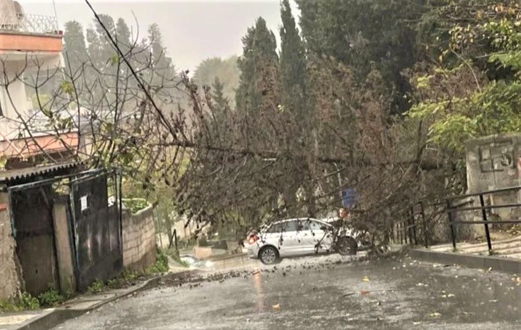 Beykoz’da şiddetli lodos ağaçları devirdi!