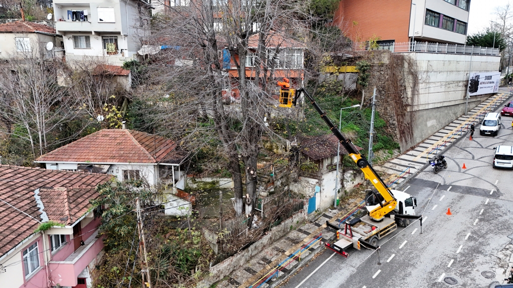 Beykoz Belediyesinden ağaç budama mesaisi