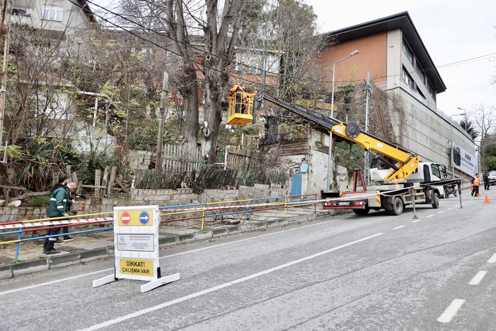 Beykoz Belediyesinden ağaç budama mesaisi