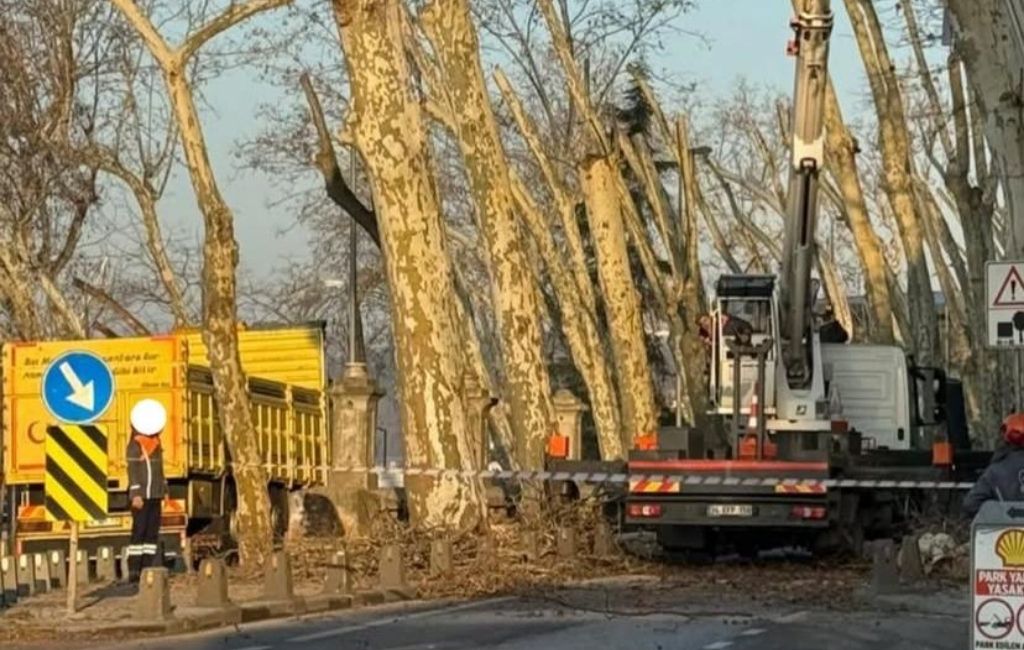 Beykoz Korusu önündeki ağaç budama çalışmaları nedeniyle tek şeride düşen yolda trafik felç oldu.