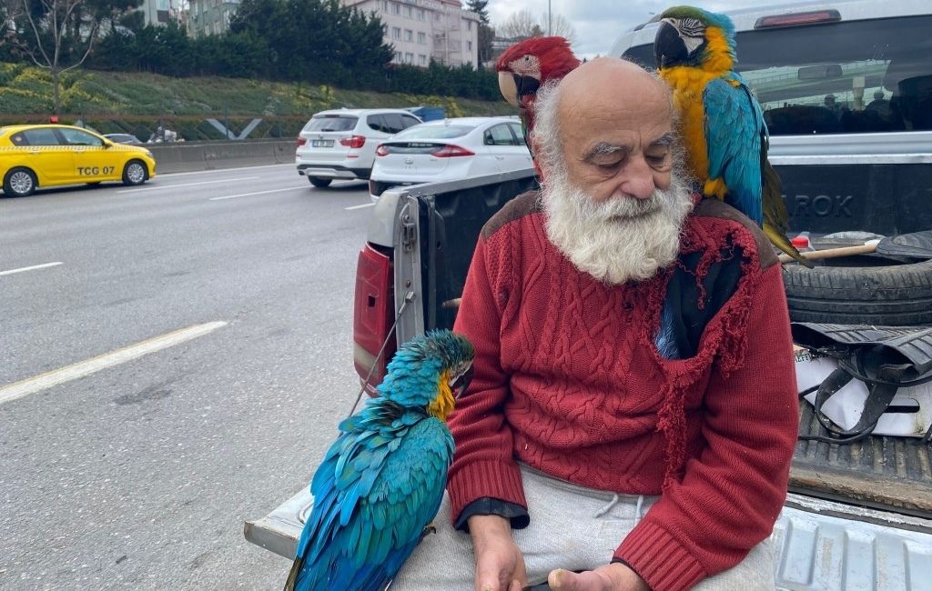 Beykoz’un papağanlı amcası ilgi odağı oldu!