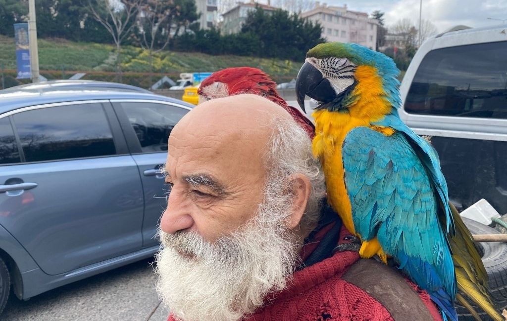 Beykoz’un papağanlı amcası ilgi odağı oldu!