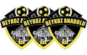 Beykoz Anadolu’nun yeni teknik direktörü belli oldu