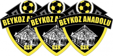 Beykoz Anadolu’nun yeni teknik direktörü belli oldu