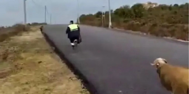 Beykoz’da temizlik işçilerini kovalayan koç gülümsetti