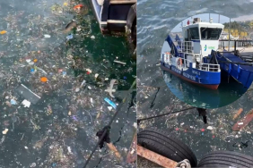 Beykoz Kanlıca sahili çöp kapladı! (2)