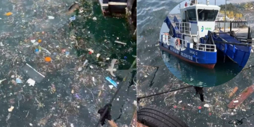 Beykoz Kanlıca sahili çöp kapladı! (2)