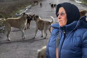 beykoz-halkinin-guvenligi-tehdit-altinda (1)