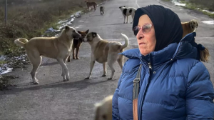 beykoz-halkinin-guvenligi-tehdit-altinda (1)