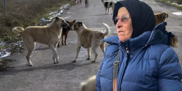 beykoz-halkinin-guvenligi-tehdit-altinda (1)