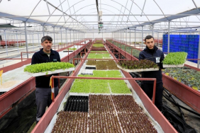 Beykoz ilk ve tek belediye oldu!