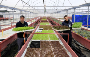 Beykoz ilk ve tek belediye oldu!