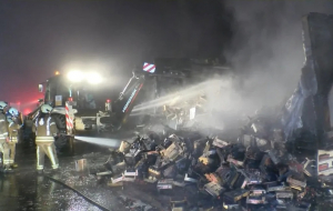 Beykoz’da gece yarısı feci yangın! Kül oldu