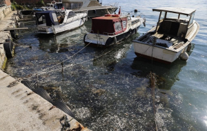Beykoz’da müsilaj alarmı! Kabus geri döndü