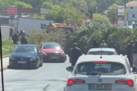 Beykoz’da şiddetli rüzgar ağacı devirdi!