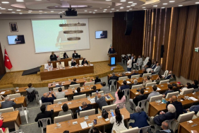 Beykoz Kent Konseyi mi, Parti Konseyi mi?