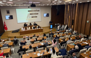 Beykoz Kent Konseyi mi, Parti Konseyi mi?