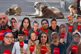 Beykoz’da başıboş köpek sorununa sokaktan tepki!