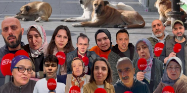 Beykoz’da başıboş köpek sorununa sokaktan tepki!