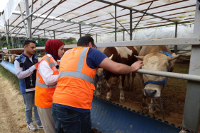 Beykoz’da kurban kesim yerleri denetim altında!