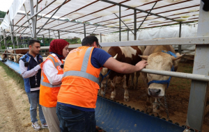 Beykoz’da kurban kesim yerleri denetim altında!