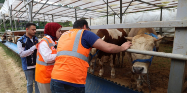 Beykoz’da kurban kesim yerleri denetim altında!