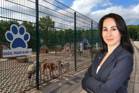 Beykoz’da sokak köpeği sorununu bitireceğiz!