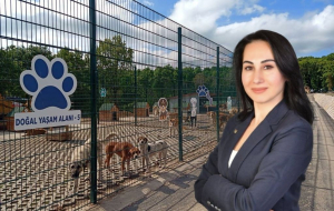 Beykoz’da sokak köpeği sorununu bitireceğiz!
