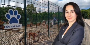 Beykoz’da sokak köpeği sorununu bitireceğiz!