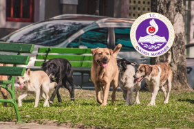 aym-beykozu-da-yakindan-ilgilendiren-basvuruyu-reddetti