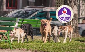 aym-beykozu-da-yakindan-ilgilendiren-basvuruyu-reddetti