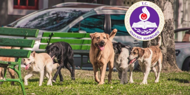 aym-beykozu-da-yakindan-ilgilendiren-basvuruyu-reddetti