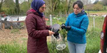 beykoz-tarim-arazilerinde-alarm-tuzaklar-kuruluyor (1)