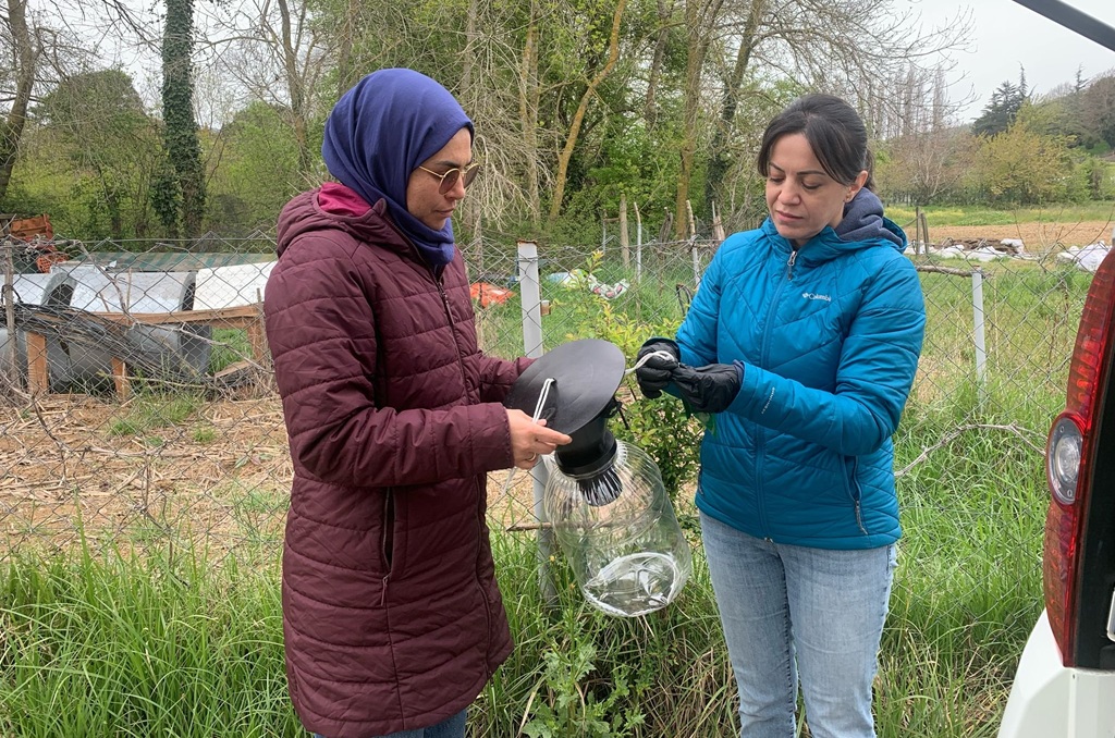 beykoz-tarim-arazilerinde-alarm-tuzaklar-kuruluyor (1)