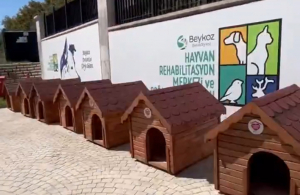 beykozda-sokak-hayvanlarina-39-kulube-destegi (1)