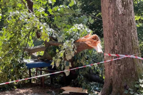 Beykoz’da piknik yaparken ölümden döndüler!