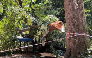 Beykoz’da piknik yaparken ölümden döndüler!