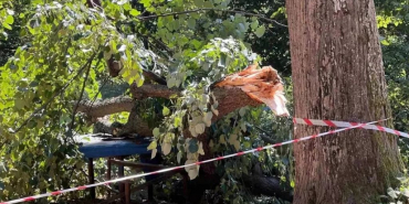 Beykoz’da piknik yaparken ölümden döndüler!