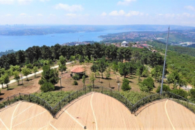 Beykozlular dikkat! Yaz boyu bunları yapmak artık yasak