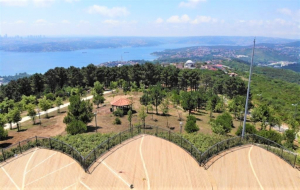 Beykozlular dikkat! Yaz boyu bunları yapmak artık yasak