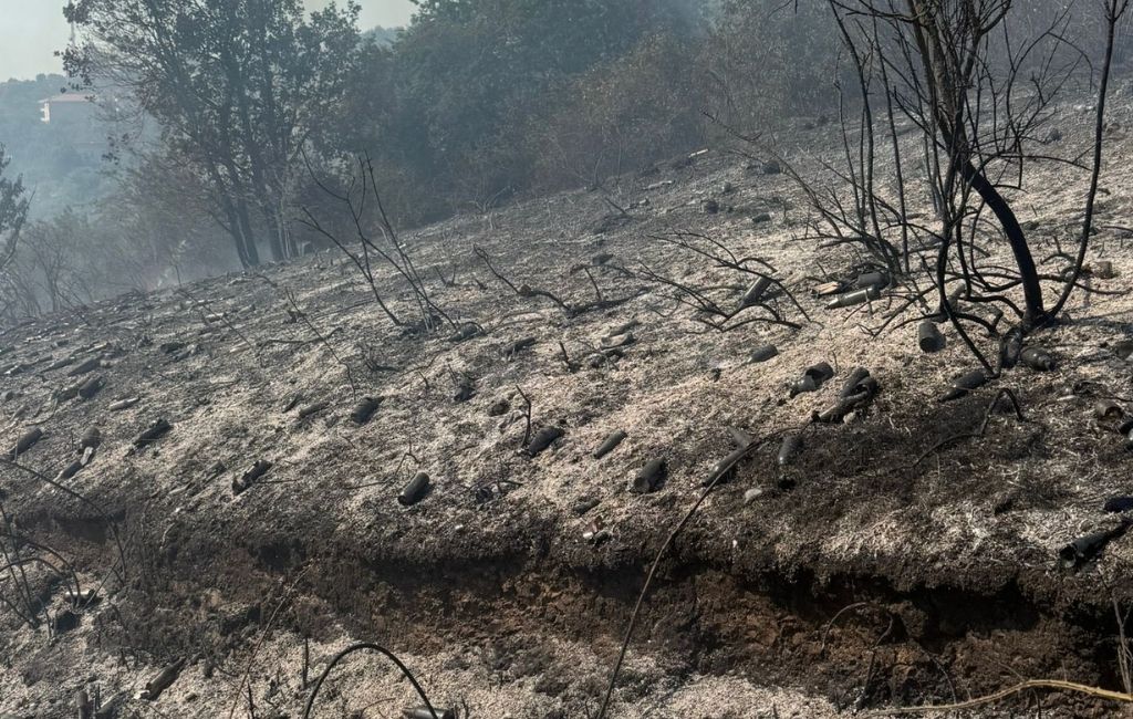Beykoz'da çıkan orman yangını kontrol altına alındı!