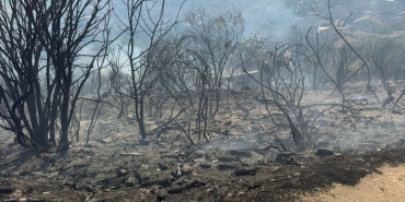 Beykoz'da çıkan orman yangını kontrol altına alındı!