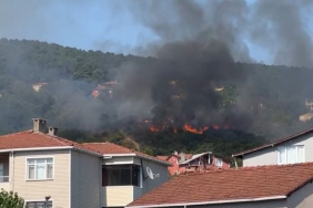 Beykoz'da korkutan orman yangını!