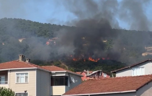 Beykoz'da korkutan orman yangını!