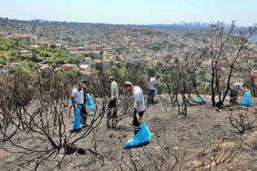 Beykoz’da yangın bölgesinde geniş kapsamlı temizlik!