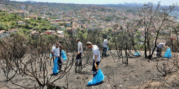 Beykoz’da yangın bölgesinde geniş kapsamlı temizlik!