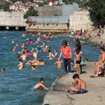 Beykozlular sıcak havada denize akın etti