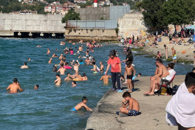 Beykozlular sıcak havada denize akın etti