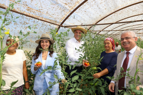 vekiller-beykozda-hasat-yapti (3)